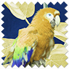 Parrot, Mangrove - Motorised Roman Blind